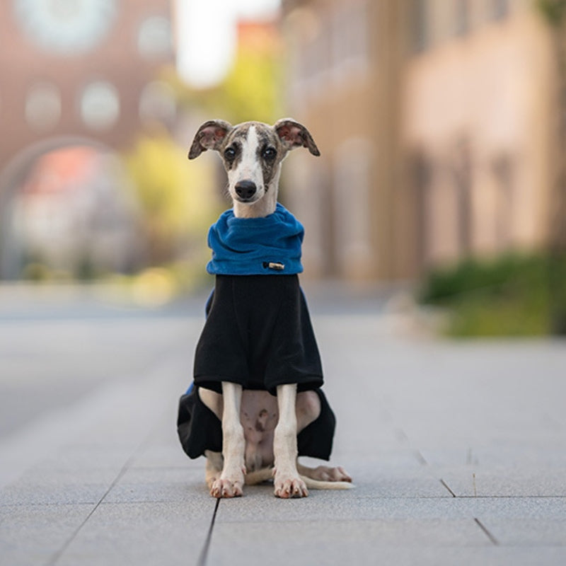 Warmer Vierbeinmantel für Hunde, Polarfleece, abnehmbarer Kragen