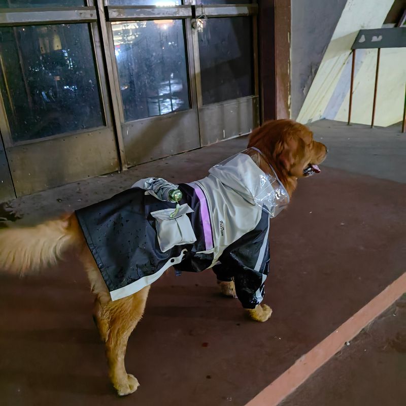 Waterproof Large Dog Raincoat – Pink PU Fabric with Transparent Hood, Reflective Strips - Adjustable Fit for Medium - Large Breeds