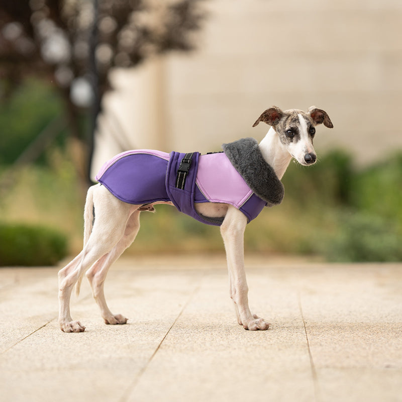 Hunde Winter Dicke Jacke Hohe Kragen Warm Reflektierende Kleine und Mittlere Hunde