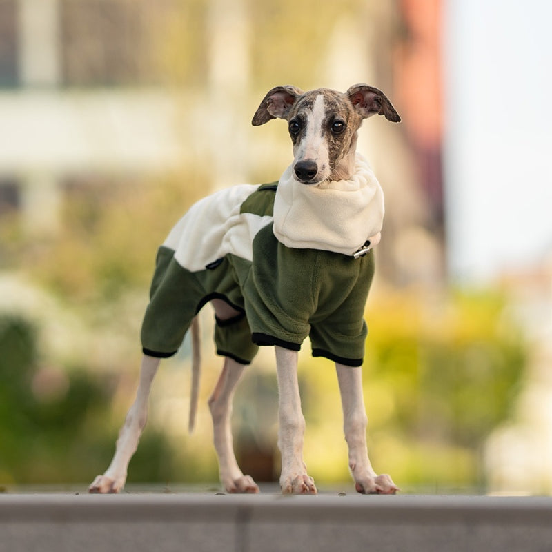 Warmer Vierbeinmantel für Hunde, Polarfleece, abnehmbarer Kragen