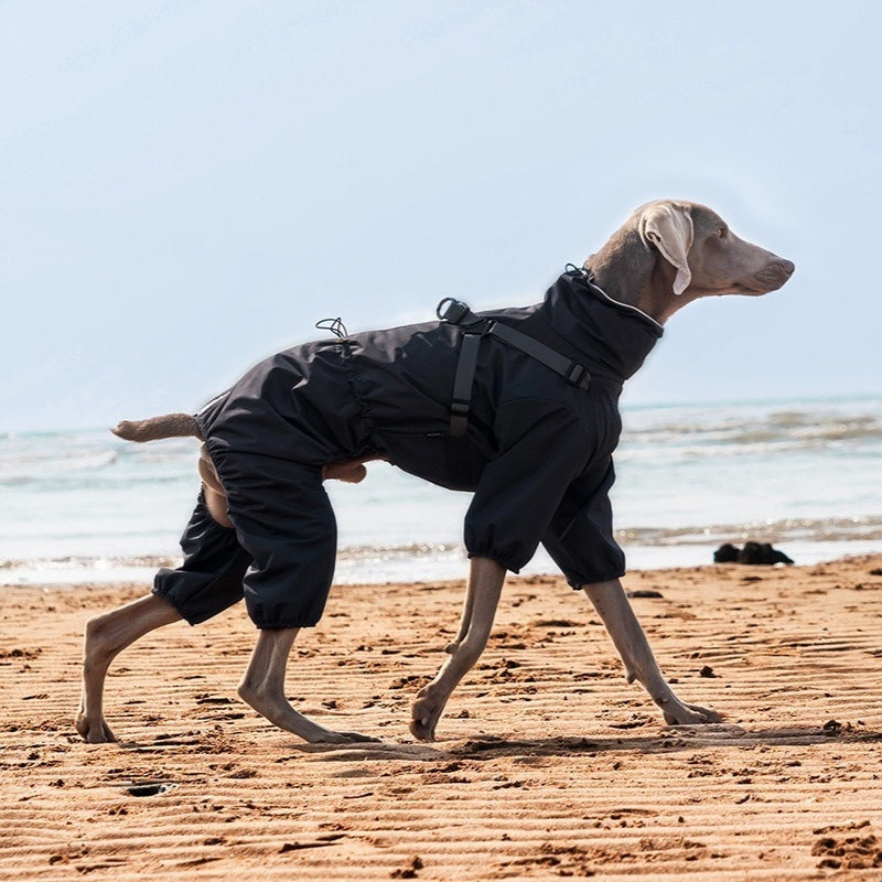 Lightweight dog raincoat | Adjustable harness | Waterproof dog jacket | Reflective at night | Fits all sizes of dogs S-6XL