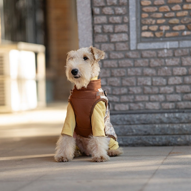 Winter cotton coatdog jackettraction jacket for small and medium-sized dogs