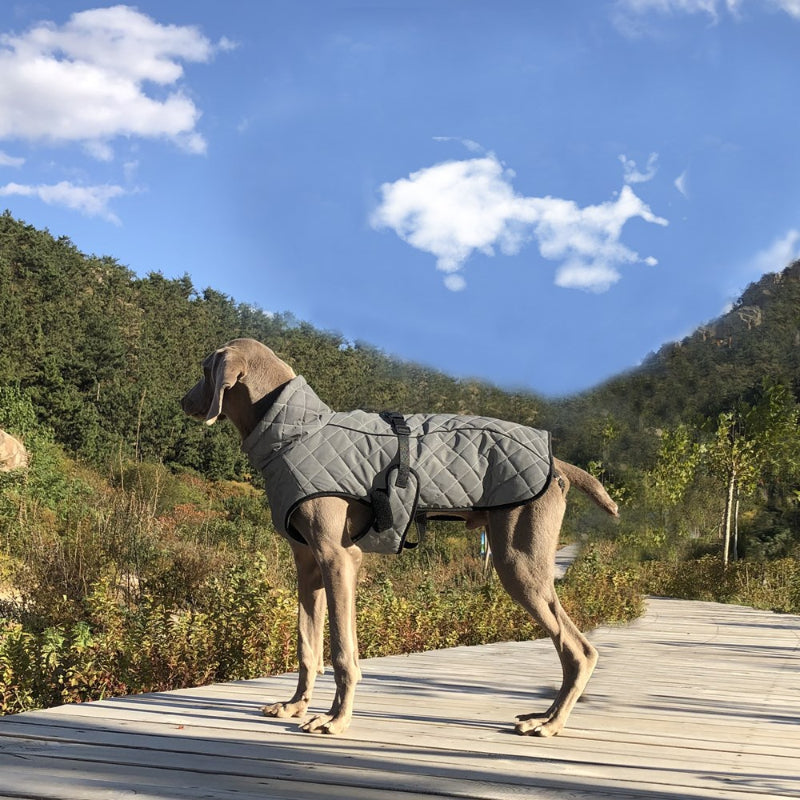 Große hund outdoor winter jacke ganzkörper reflektierende wasserdichte warm