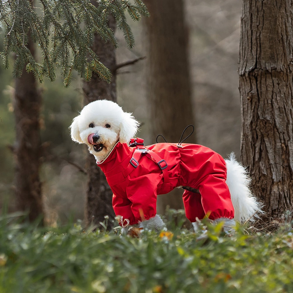 Waterproof dog raincoat | Four-legged chest-back design | Adjustable dog jacket | Reflective at night | All sizes of dogs S-6XL