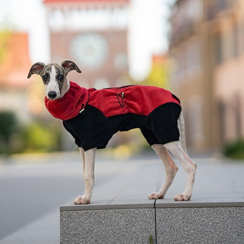 Warmer Vierbeinmantel für Hunde, Polarfleece, abnehmbarer Kragen