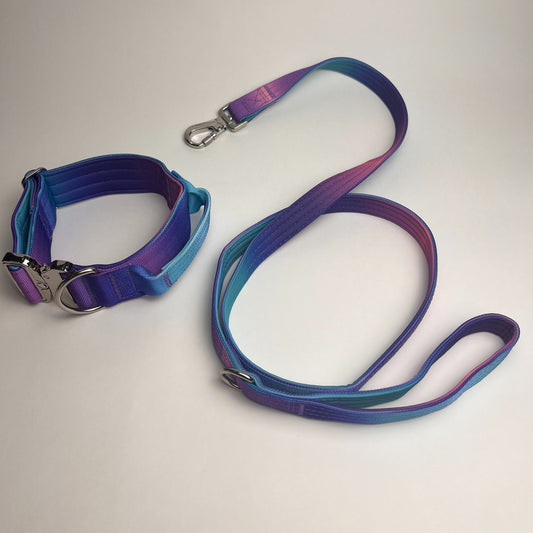 Gradient Tactical Dog Collar Leash Set Suitable for Medium and Large Dogs High Strength Nylon + Neoprene Design Width 5cm