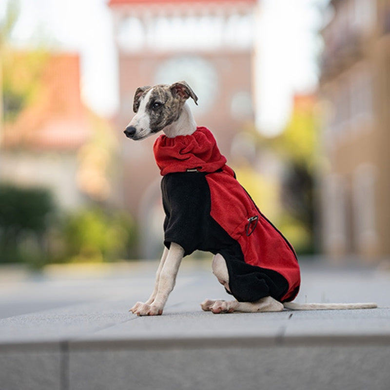 Warmer Vierbeinmantel für Hunde, Polarfleece, abnehmbarer Kragen