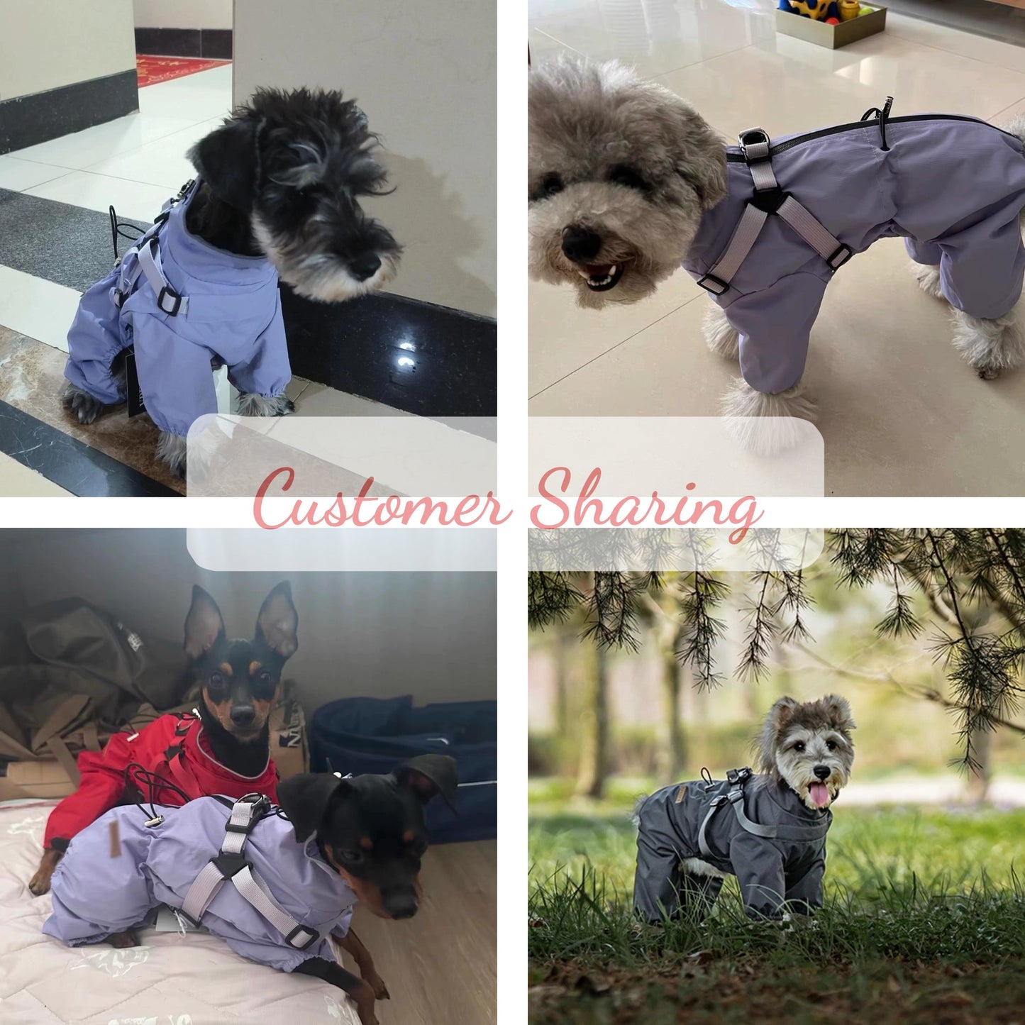 Lightweight dog raincoat | Adjustable harness | Waterproof dog jacket | Reflective at night | Fits all sizes of dogs S-6XL