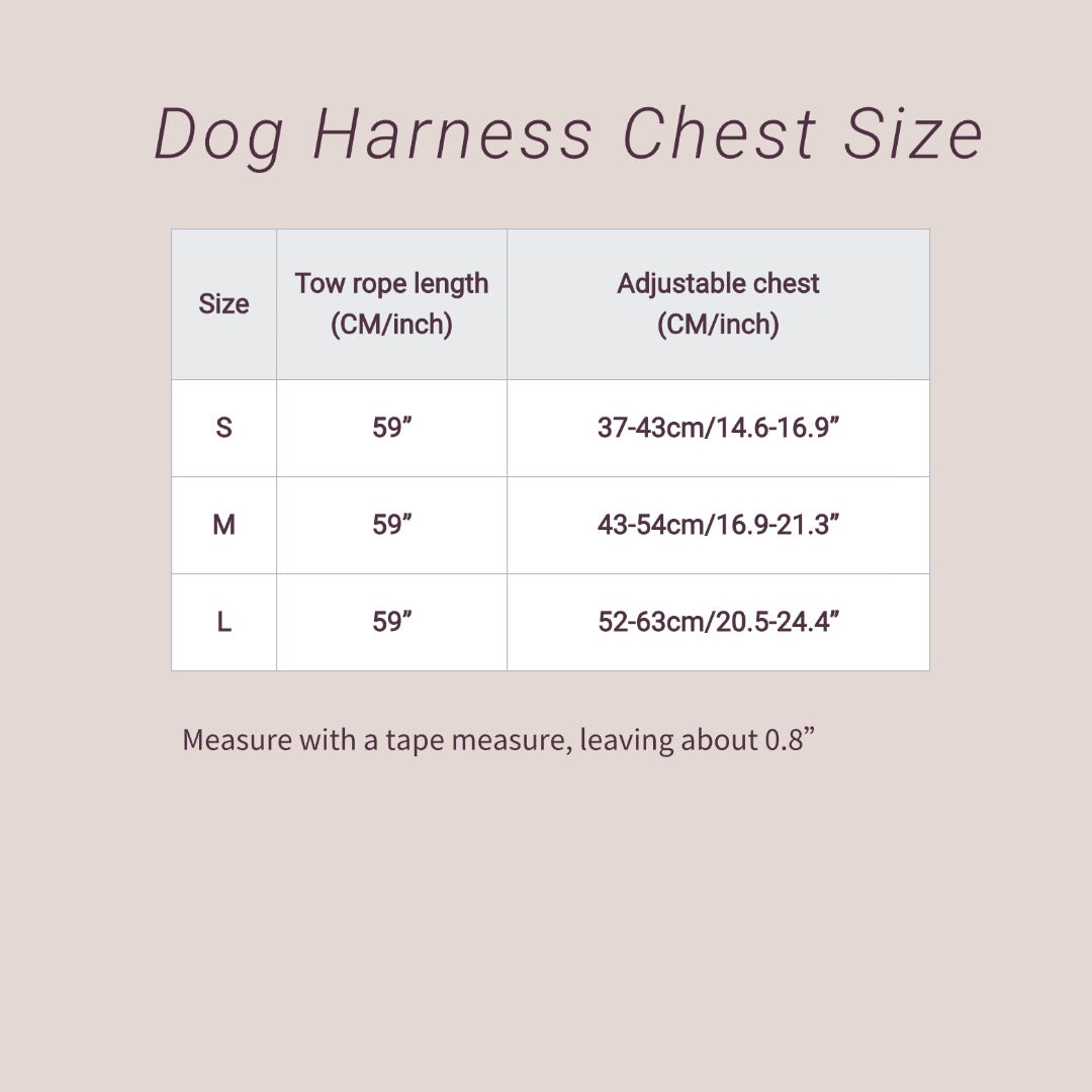 Deluxe Soft Leather Dog Harness and Leash Set - Adjustable, Waterproof and Easy to Clean - Small and Medium Dogs