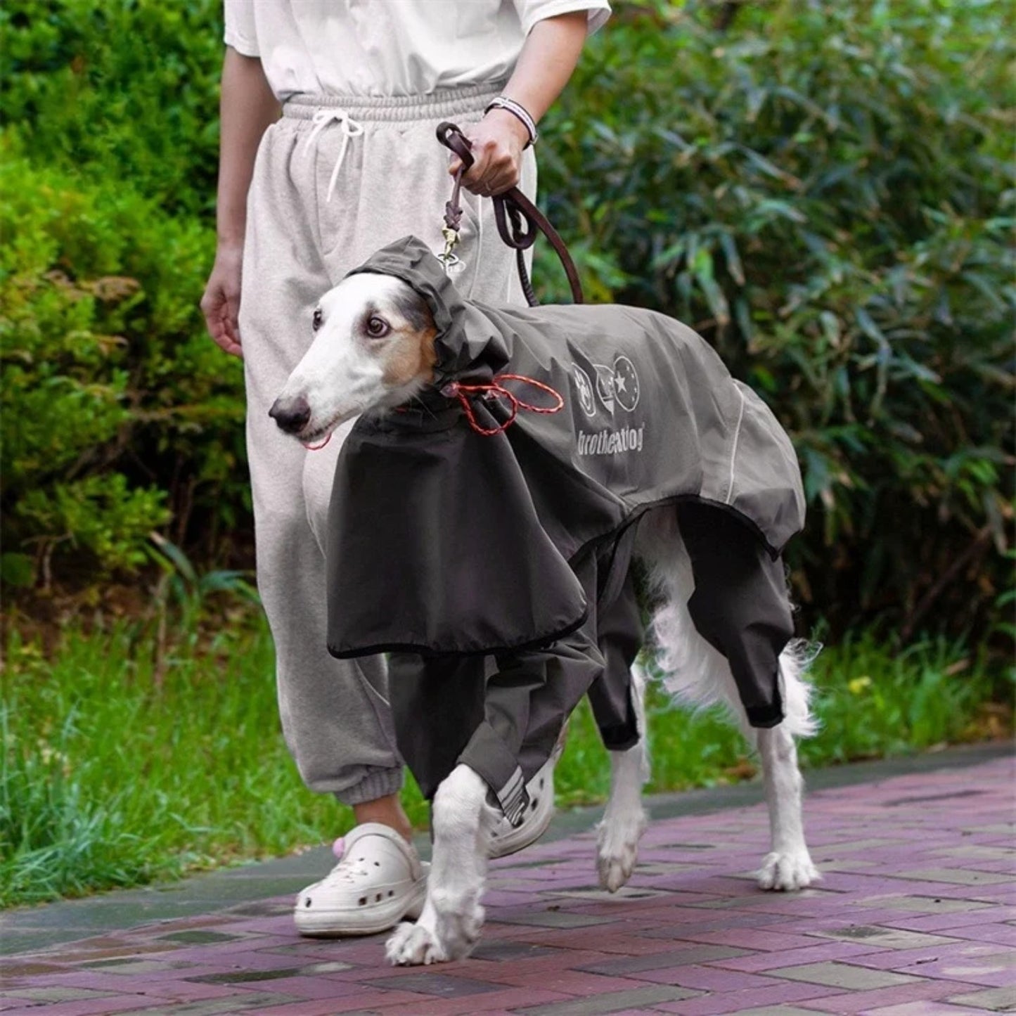 Dog raincoat waterproof one-piece raincoat for medium and large dogs with adjustable hood four-legged reflective raincoat