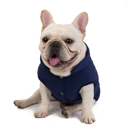 Small Dog Winter Warm Jacket Waterproof