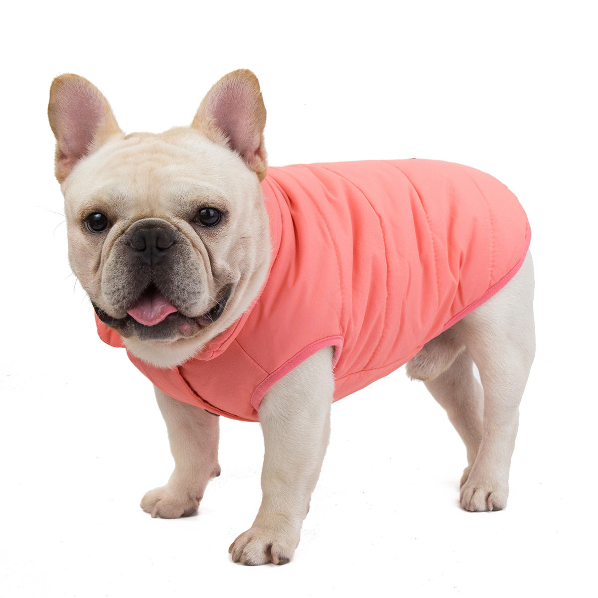 Small Dog Winter Warm Jacket Waterproof