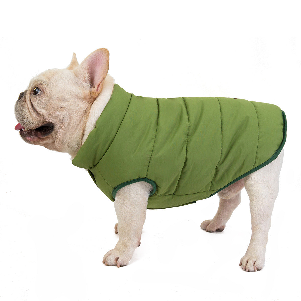 Small Dog Winter Warm Jacket Waterproof