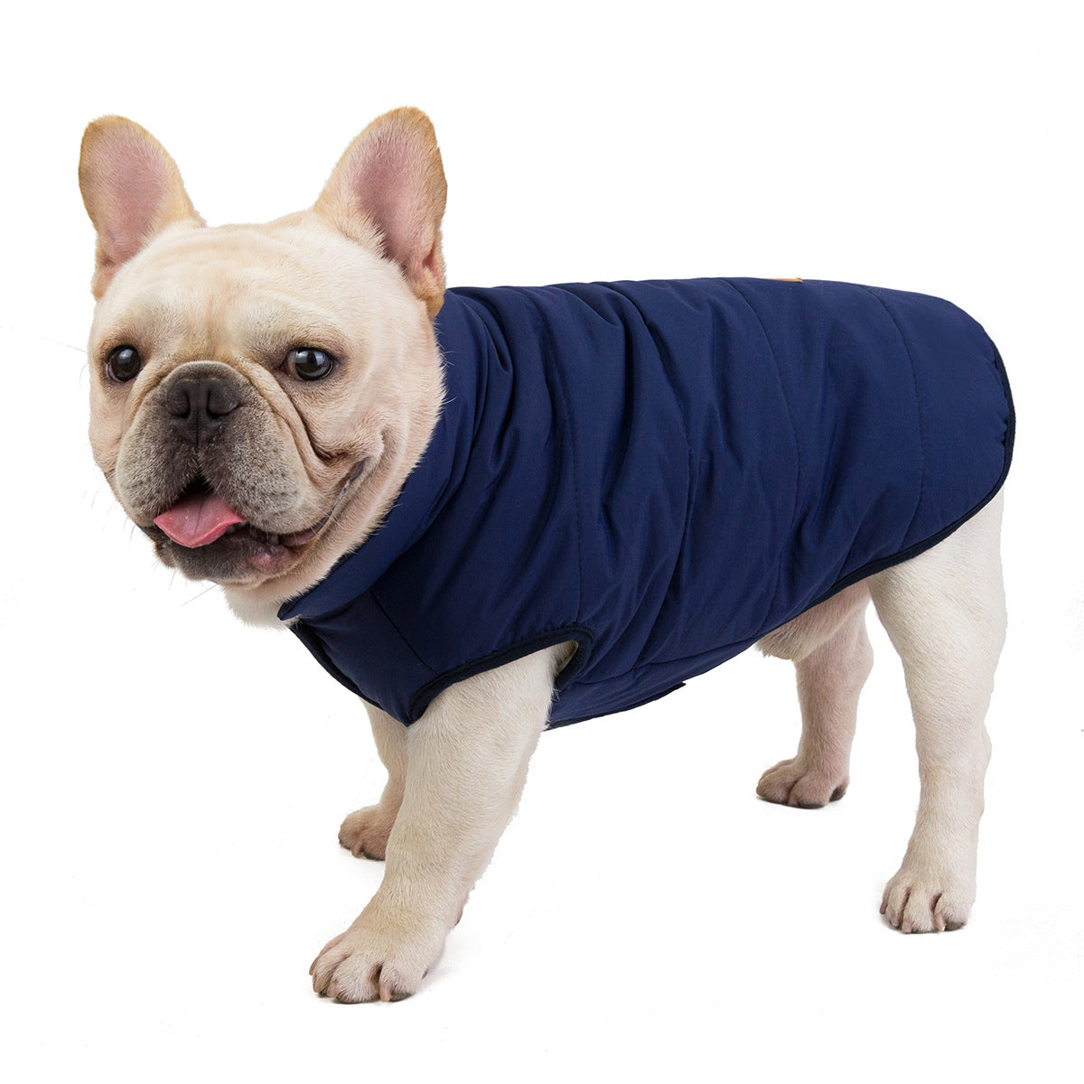 Small Dog Winter Warm Jacket Waterproof