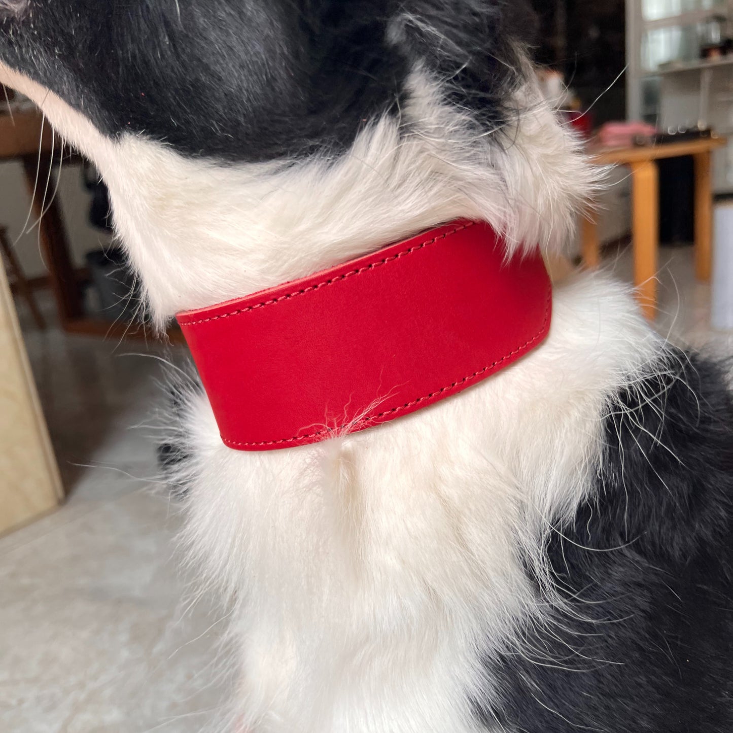 Premium Wide Leather Greyhound Collar – Full Grain Cowhide Dog Collar with Solid Brass Hardware