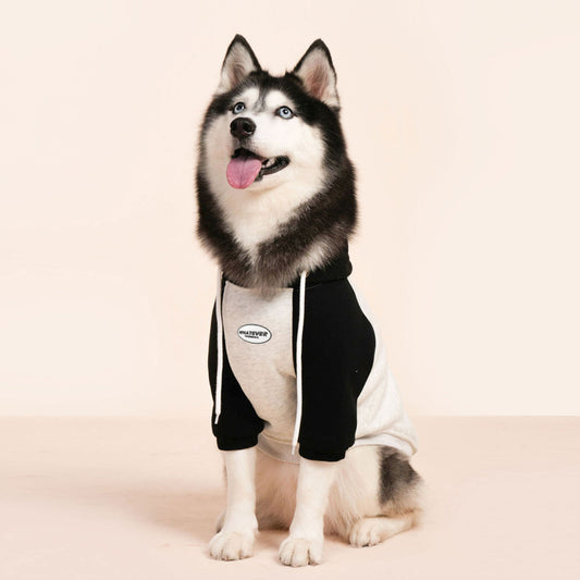 Dog winter sweatshirt with pure cotton lining and fleece suitable for all dogs