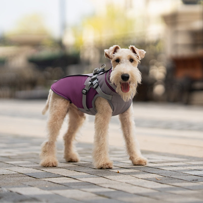 Dog winter coat with chest and back for traction of small and medium-sized dogs