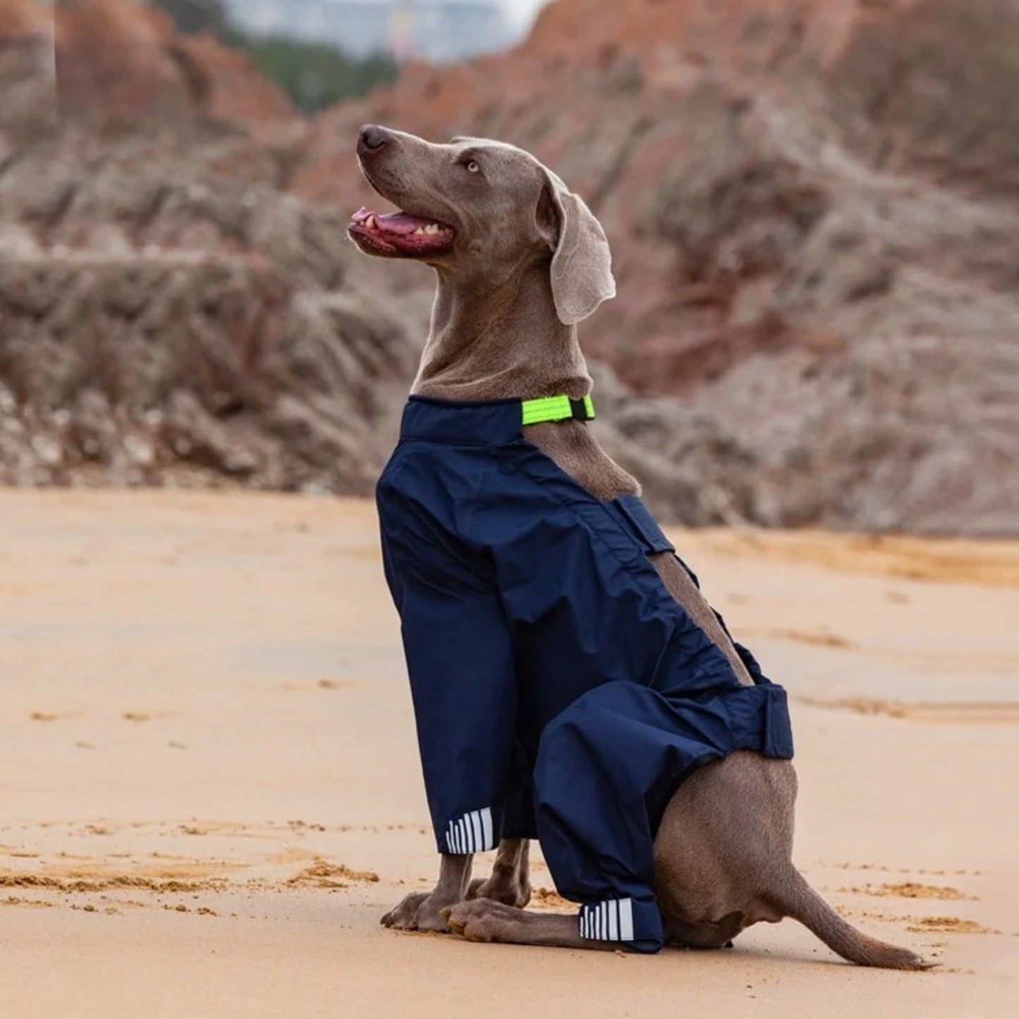 Dog raincoat waterproof integrated raincoat, four legged reflective assault suit with adjustable hood for sheepdogs Labrador