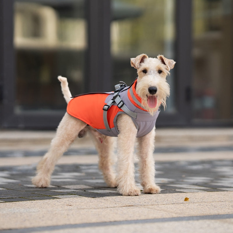 Dog winter coat with chest and back for traction of small and medium-sized dogs