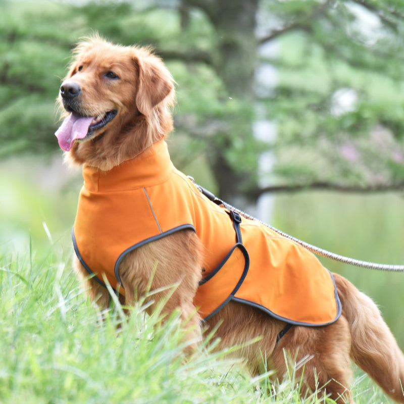 Winter Jacket for Large Dogs Thickened, Warm and Waterproof Dog Jacket