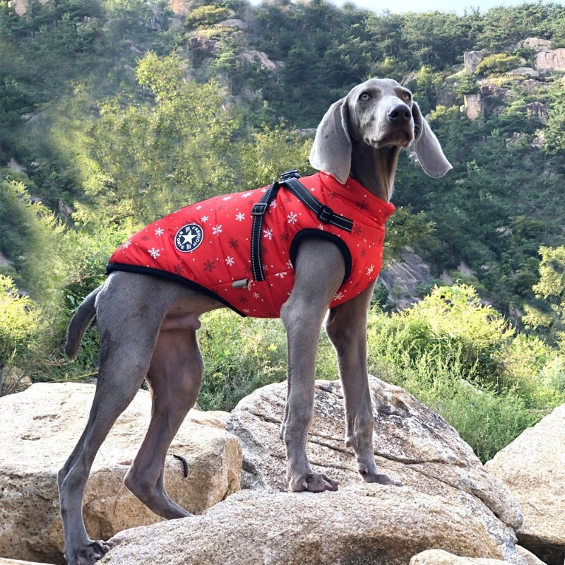 Dog Jacket with Chest and Back Traction Integrated Reflective Warmth for Large Dogs