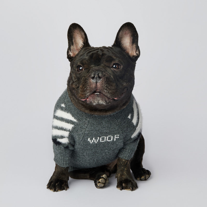 Fashionable dog sweater for Corgi, Schnauzer and French bulldog