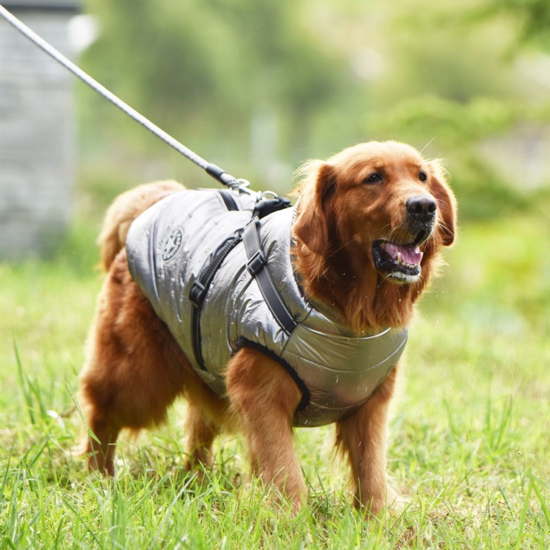 Dog Jacket with Chest and Back Traction Integrated Reflective Warmth for Large Dogs