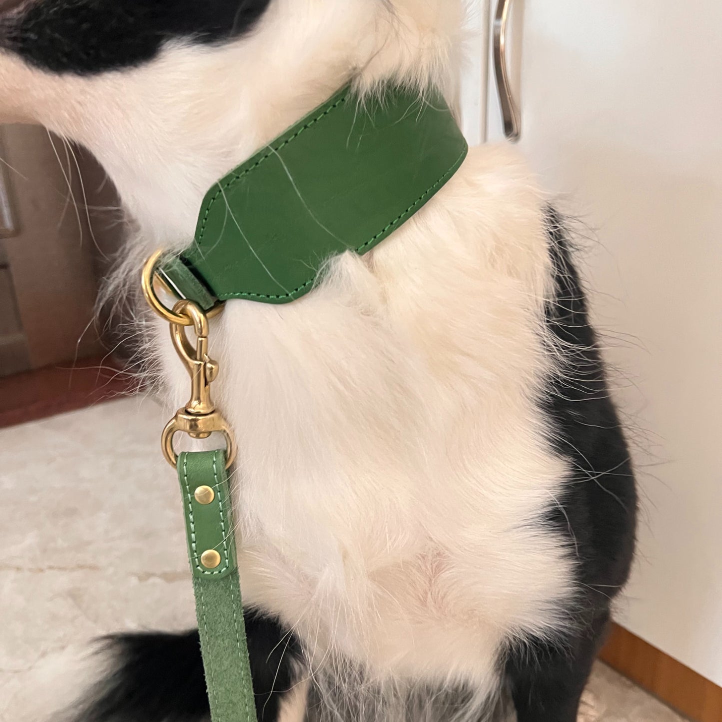 Vintage Greyhound Collar – Wide Genuine Leather Sighthound Dog Collar with Retro Brass Buckle