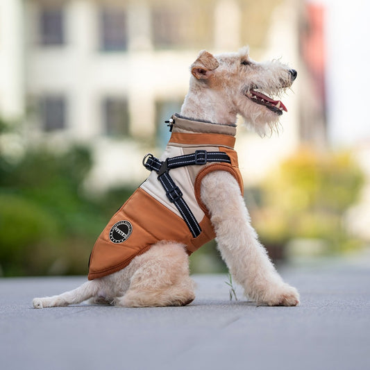 Multifunctional warm jacket for small dogs with traction buckle