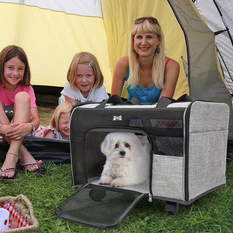 Foldable pet bag with wheels