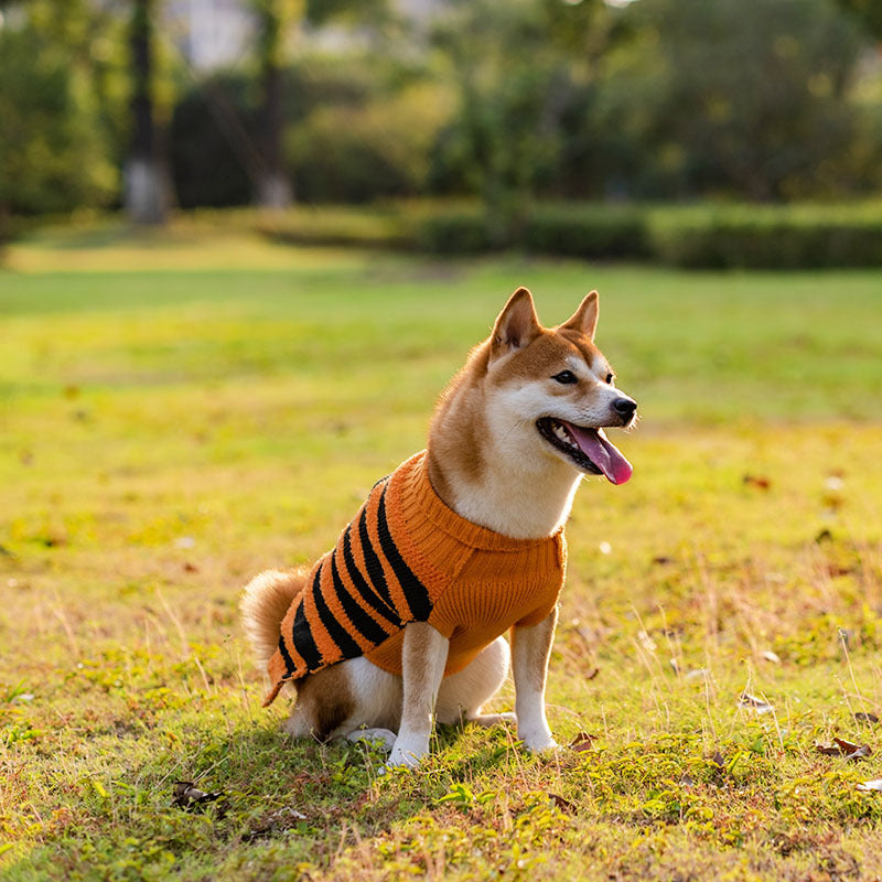 Dog warm sweater stylish and simple