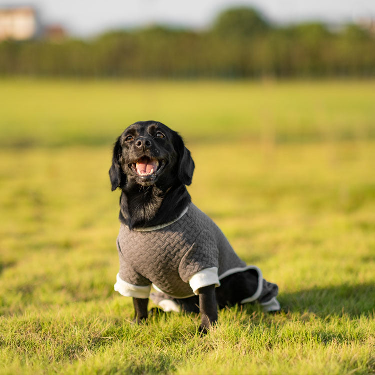 Autumn and winter warm jacket with four legs and elasticity