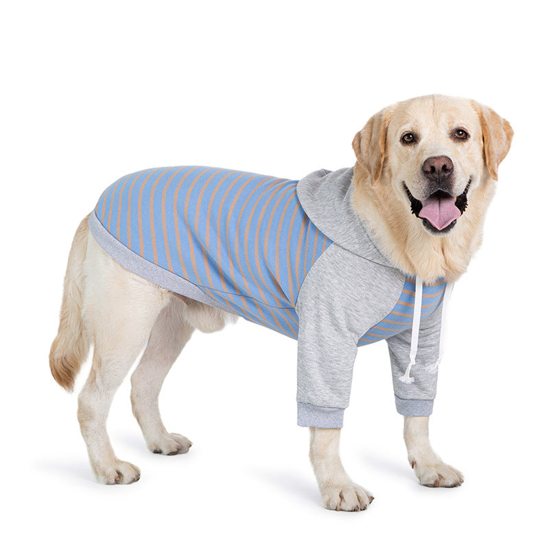 Big dog winter clothes two-legged striped sweatshirt golden retriever labrador