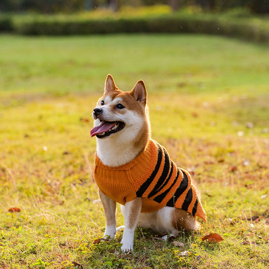 Dog warm sweater stylish and simple