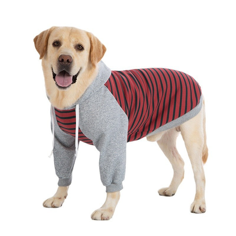 Big dog winter clothes two-legged striped sweatshirt golden retriever labrador