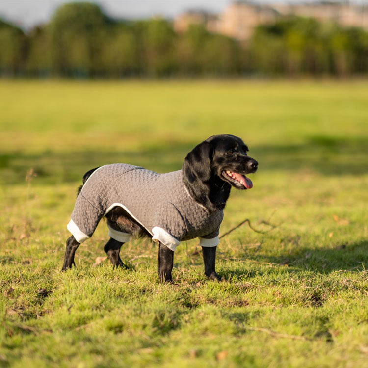 Autumn and winter warm jacket with four legs and elasticity