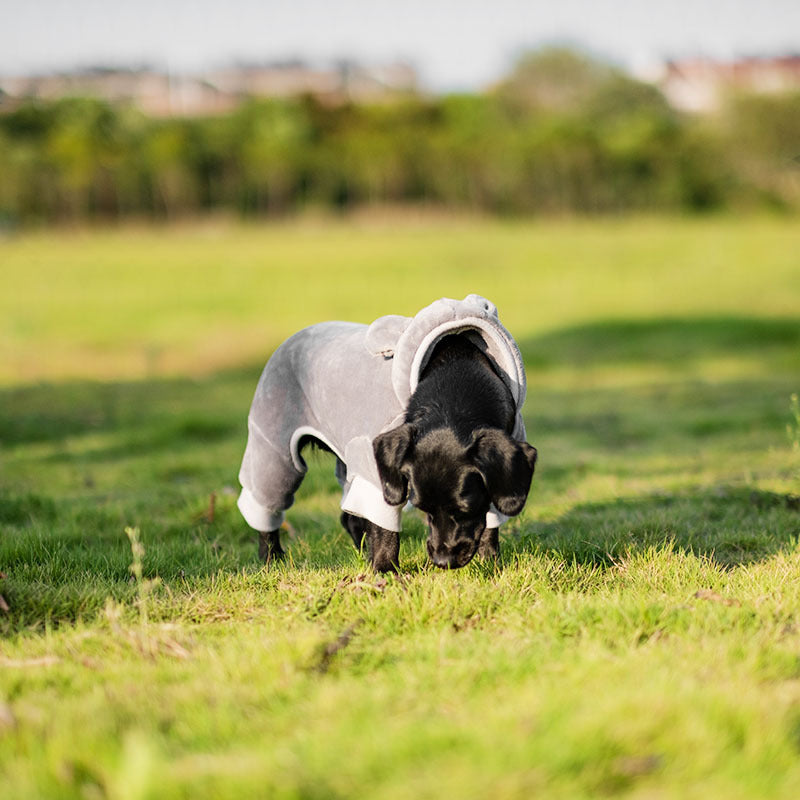 Winter warm sweatshirt hooded boxer shorts for small and medium dogs