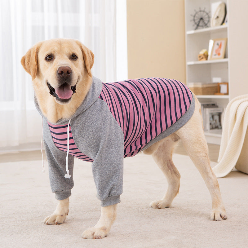 Big dog winter clothes two-legged striped sweatshirt golden retriever labrador