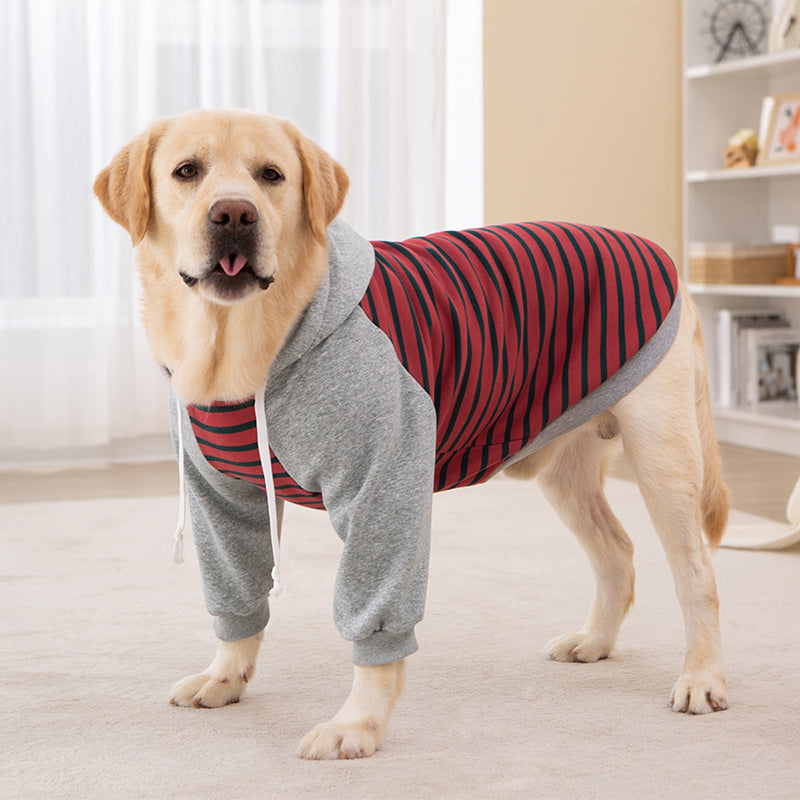 Big dog winter clothes two-legged striped sweatshirt golden retriever labrador