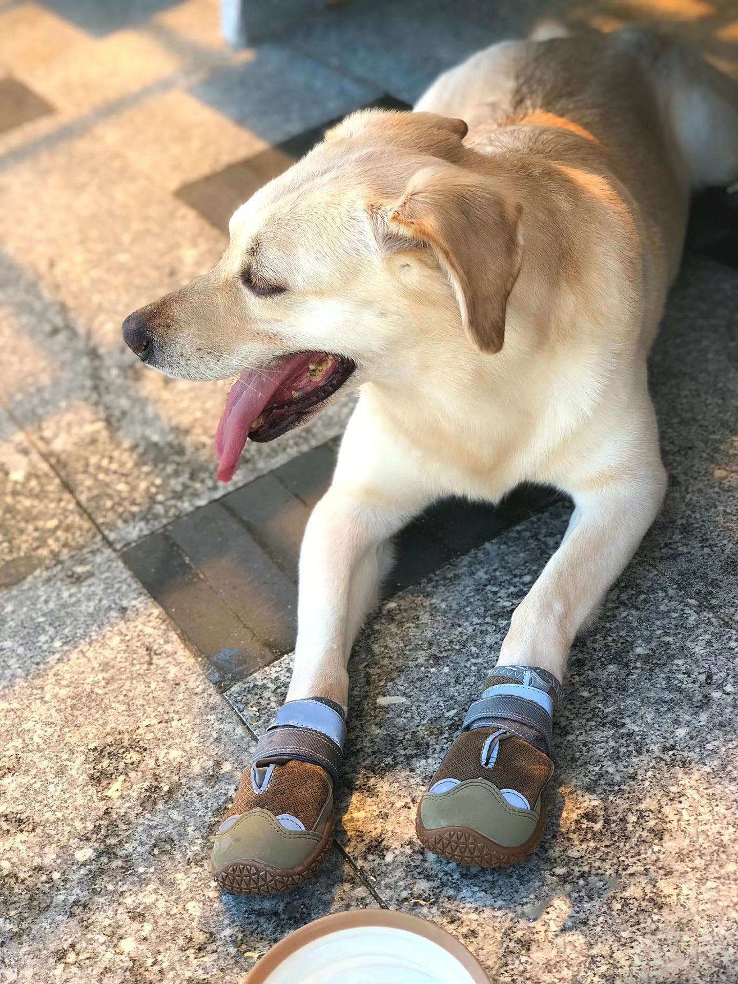 Anti-slip wear-resistant breathable dog boots