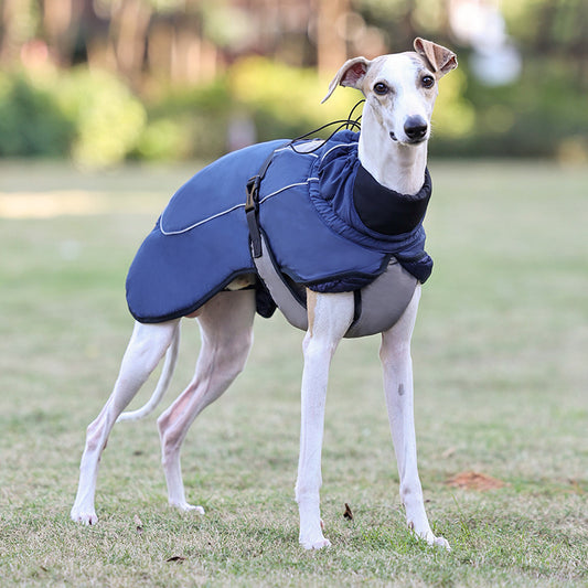 Dog winter warm jacket, outdoor waterproof medium and large dog jacket