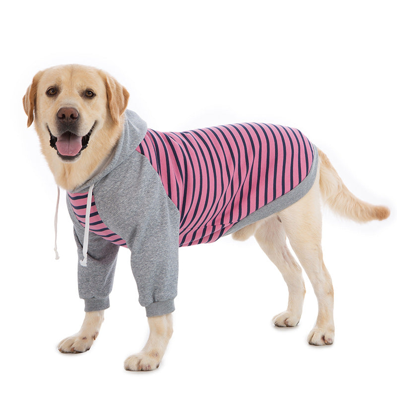 Big dog winter clothes two-legged striped sweatshirt golden retriever labrador