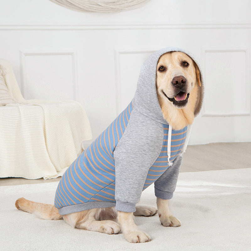 Big dog winter clothes two-legged striped sweatshirt golden retriever labrador