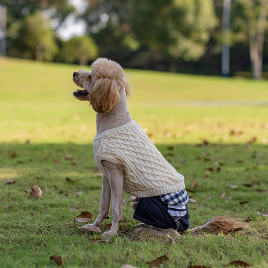 Dog warm sweater fashionable stitching suitable for small and medium dogs