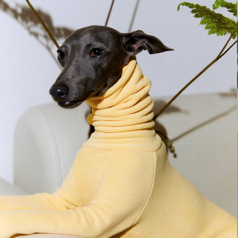 Fashionable fleece coat for Greyhounds, Greyhounds, and Whippets