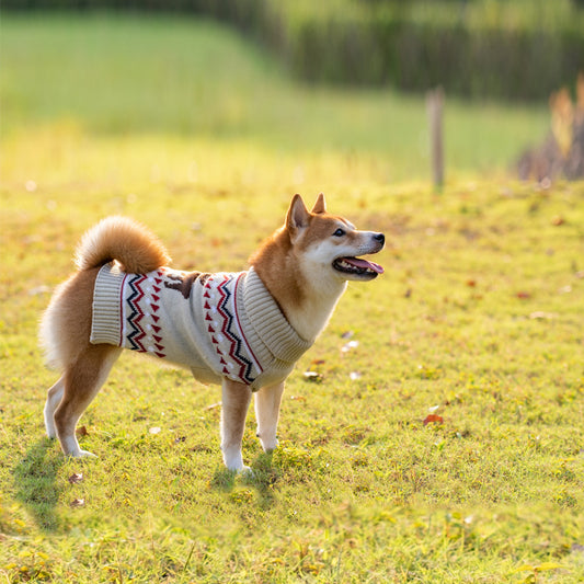 Dog sweater thickened for small dogs