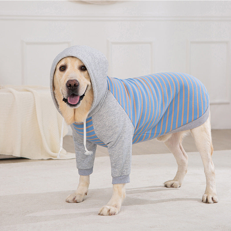 Big dog winter clothes two-legged striped sweatshirt golden retriever labrador