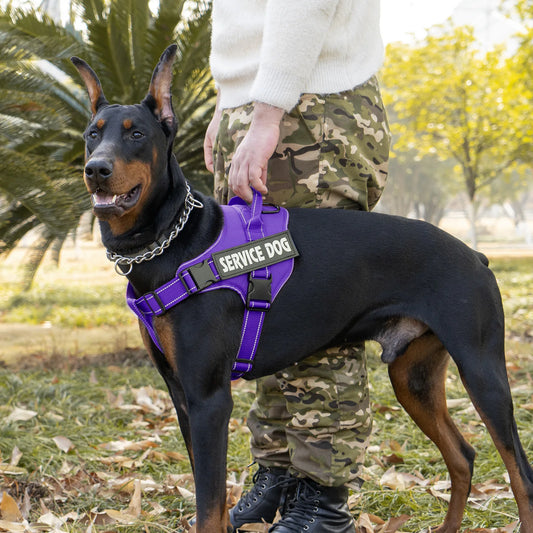 Large dog harness with handle Explosion-proof dog harness Easy to put on and take off Fashionable colors dog accessories