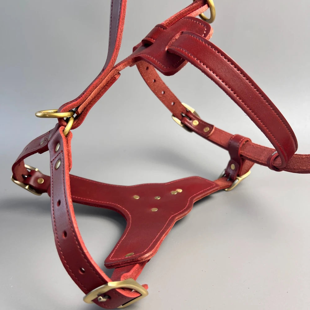 Retro Natural cowhide leather dog harness, luxurious leather dog leash for large and medium-sized dogs red