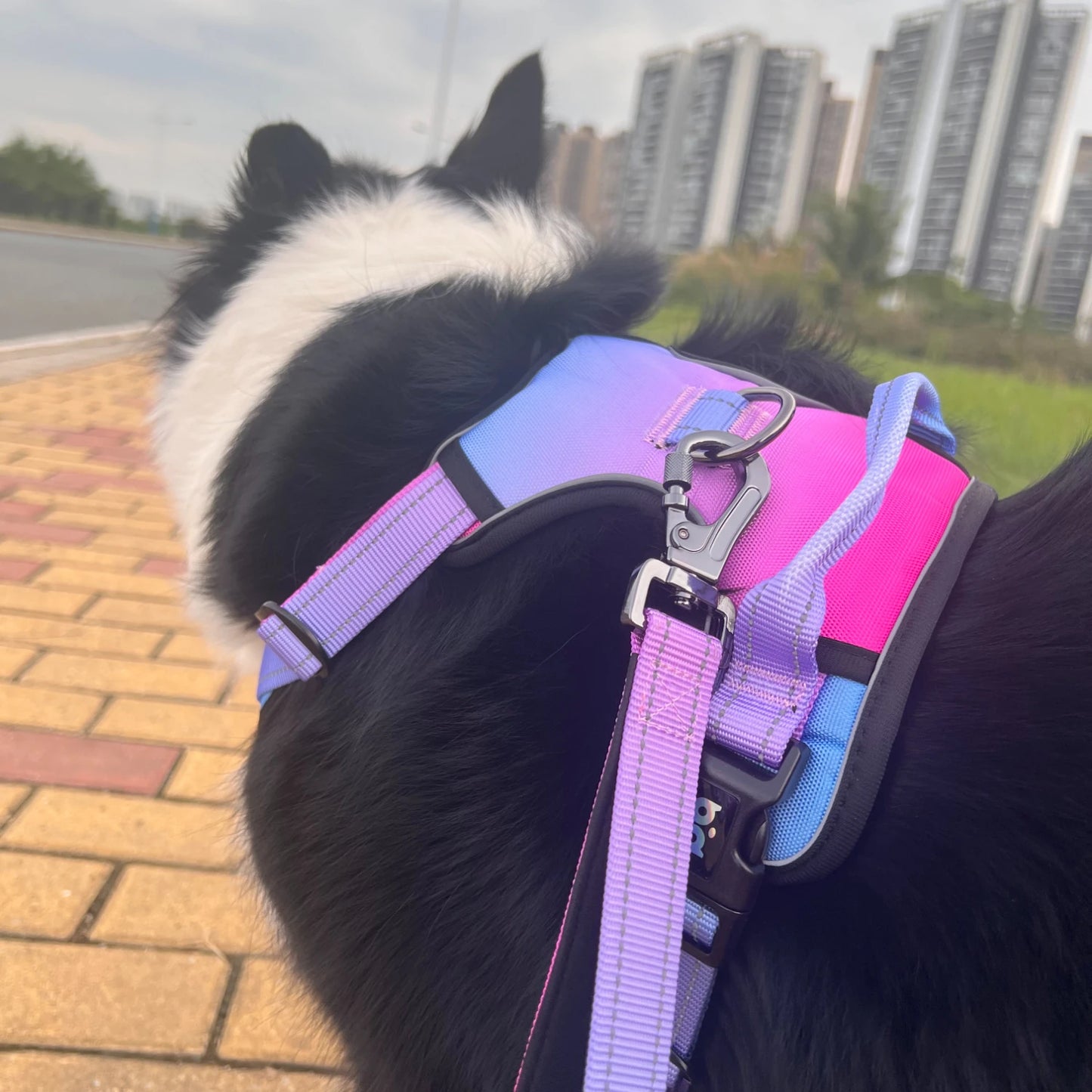 Reflective dog harness set, waterproof Oxford cloth walking rope,breathable adjustable vest style dog collar for easy on and off